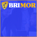 BRIMOR LTD
